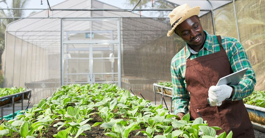 Celebrating Small Scale Farmers on World Food Day